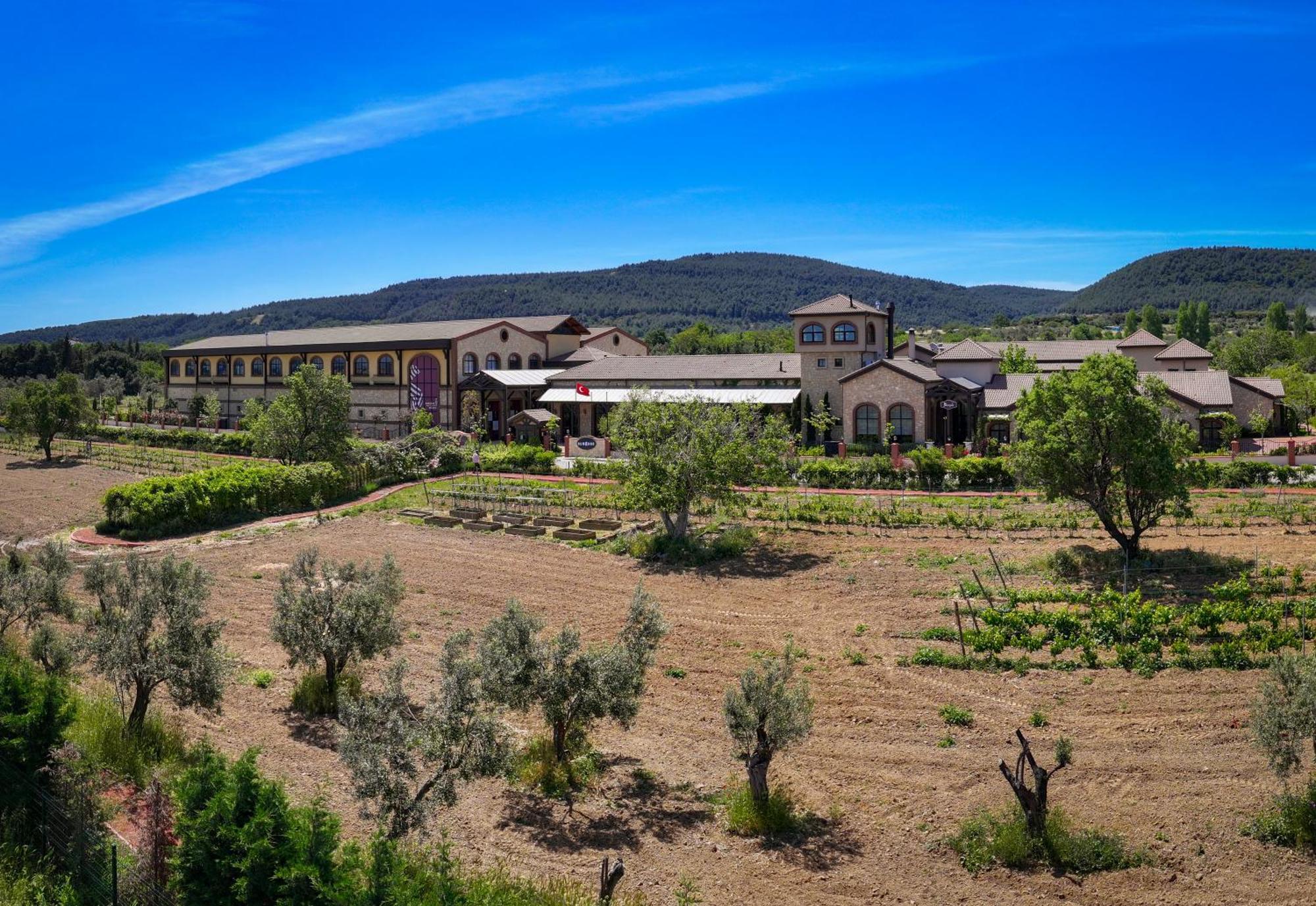 Bengodi Boutique Hotel Eceabat Esterno foto